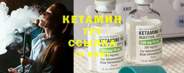 прущие грибы Вязьма