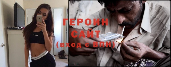 прущие грибы Вязьма