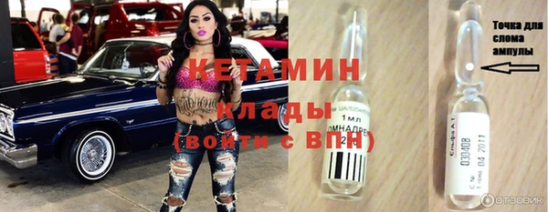 прущие грибы Вязьма